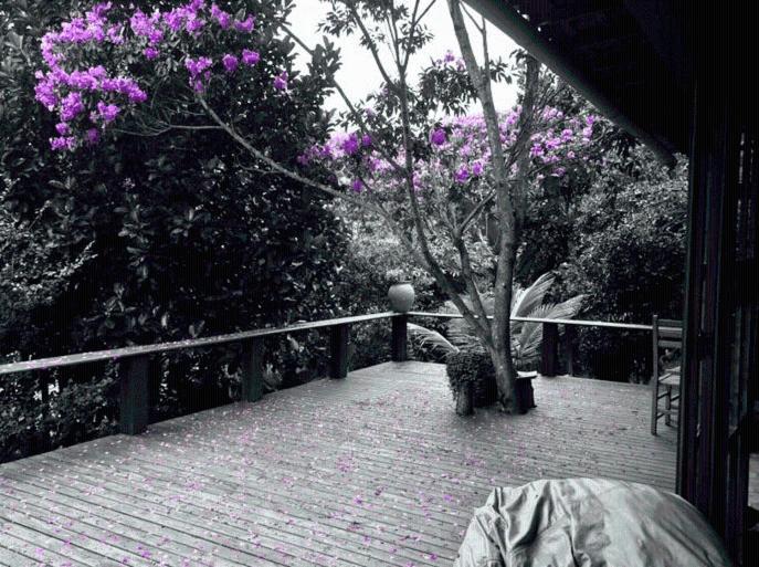 Vila Esperanca Vale do Capao Exteriér fotografie